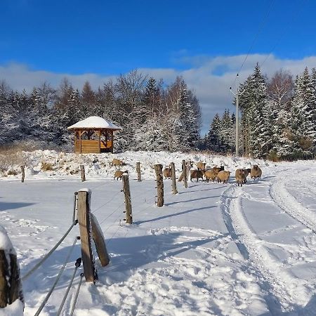 Chalet Boruvka - Biofarma Na Samote V Lesich Benesov  Exterior foto