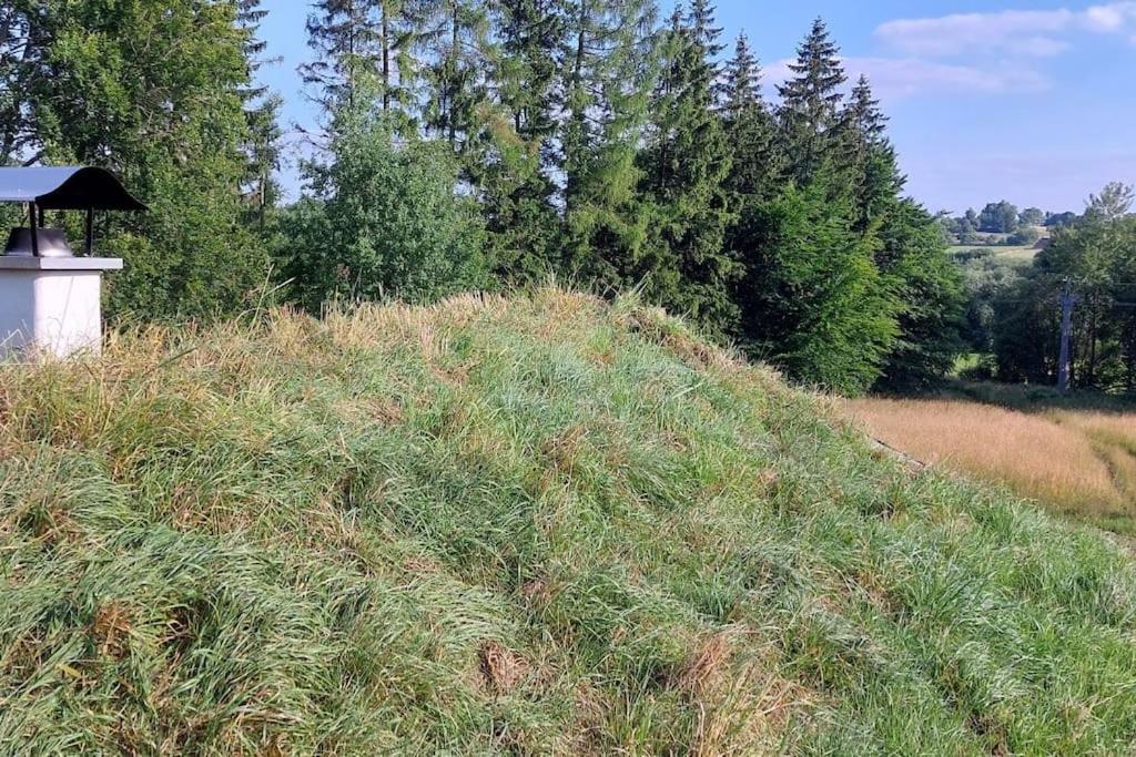 Chalet Boruvka - Biofarma Na Samote V Lesich Benesov  Exterior foto