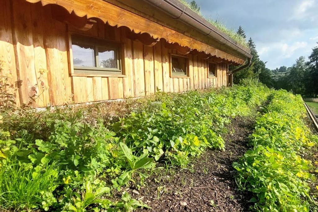 Chalet Boruvka - Biofarma Na Samote V Lesich Benesov  Exterior foto
