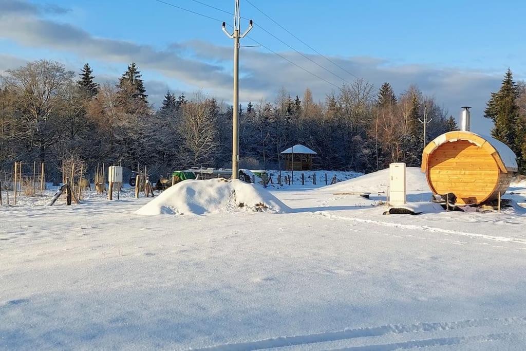 Chalet Boruvka - Biofarma Na Samote V Lesich Benesov  Exterior foto