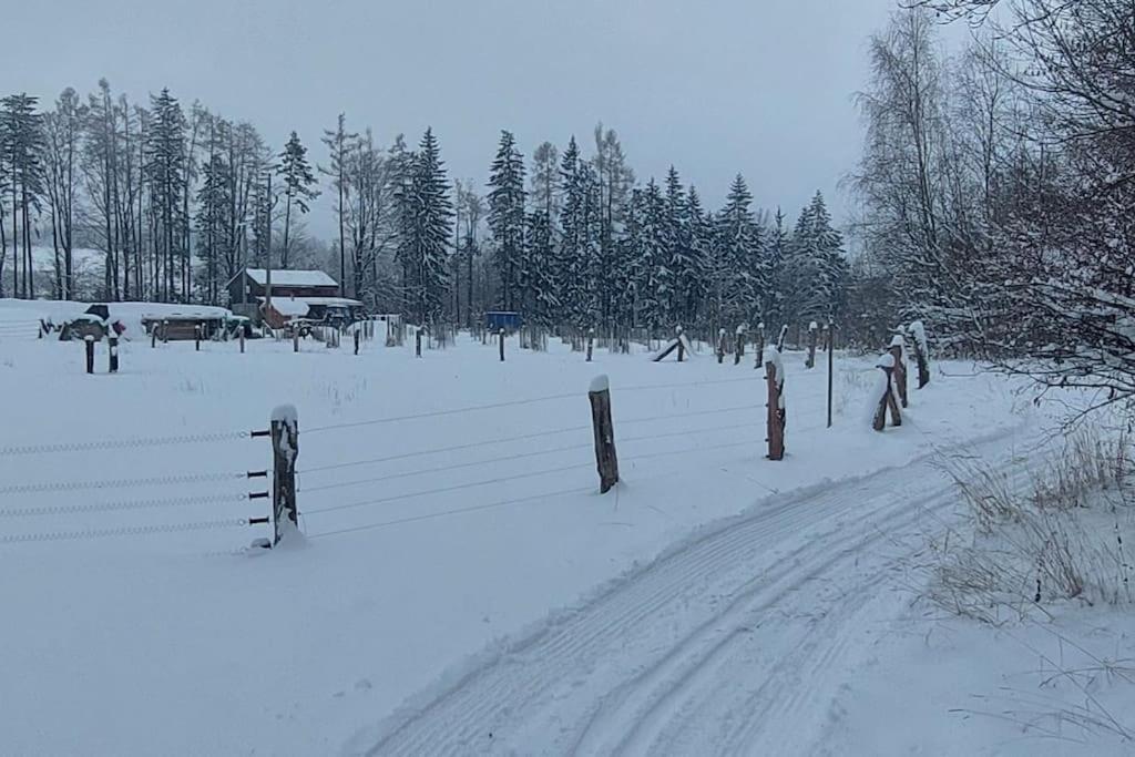 Chalet Boruvka - Biofarma Na Samote V Lesich Benesov  Exterior foto