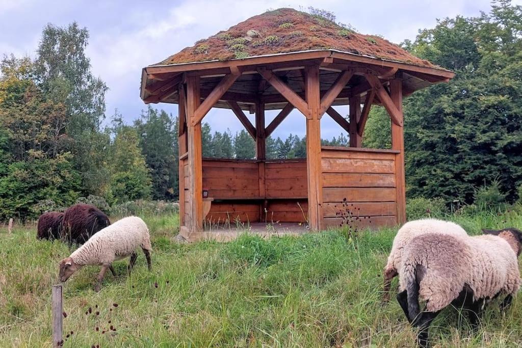 Chalet Boruvka - Biofarma Na Samote V Lesich Benesov  Exterior foto
