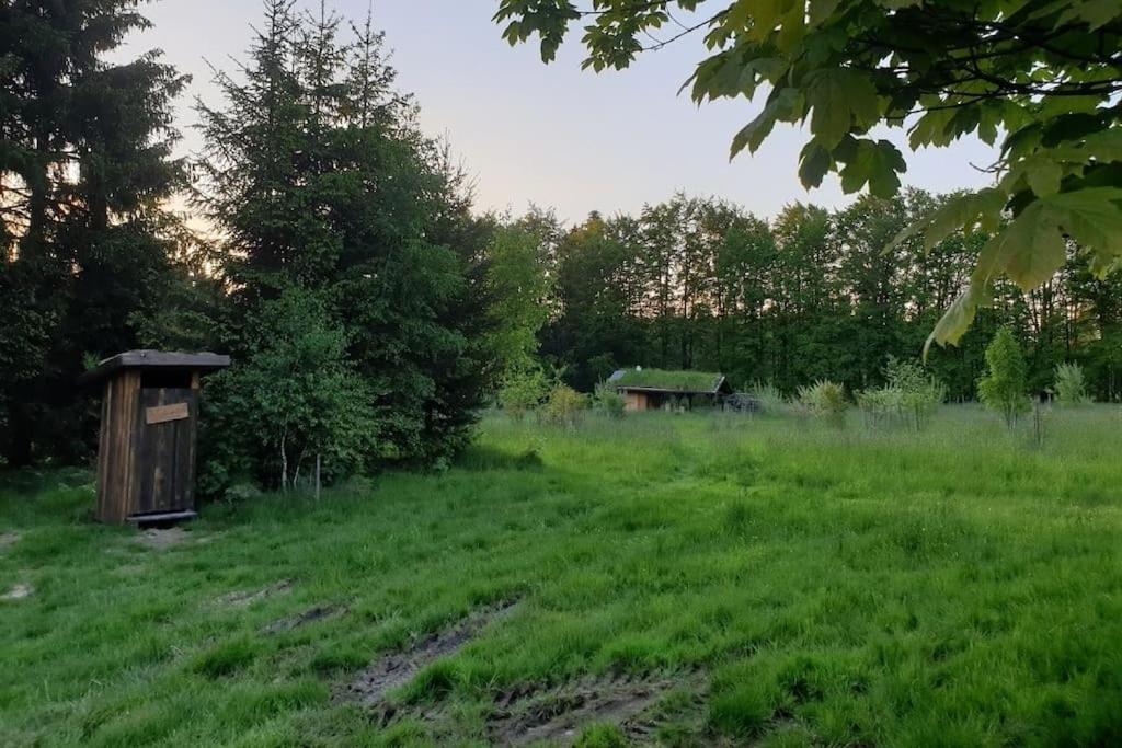 Chalet Boruvka - Biofarma Na Samote V Lesich Benesov  Exterior foto