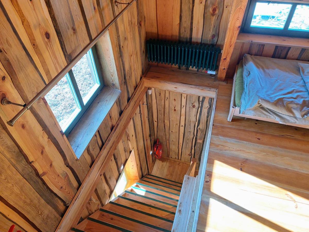 Chalet Boruvka - Biofarma Na Samote V Lesich Benesov  Exterior foto
