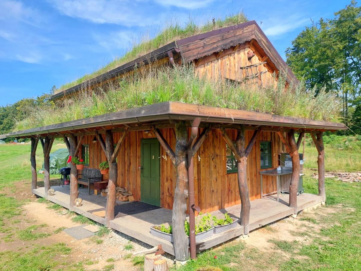 Chalet Boruvka - Biofarma Na Samote V Lesich Benesov  Exterior foto